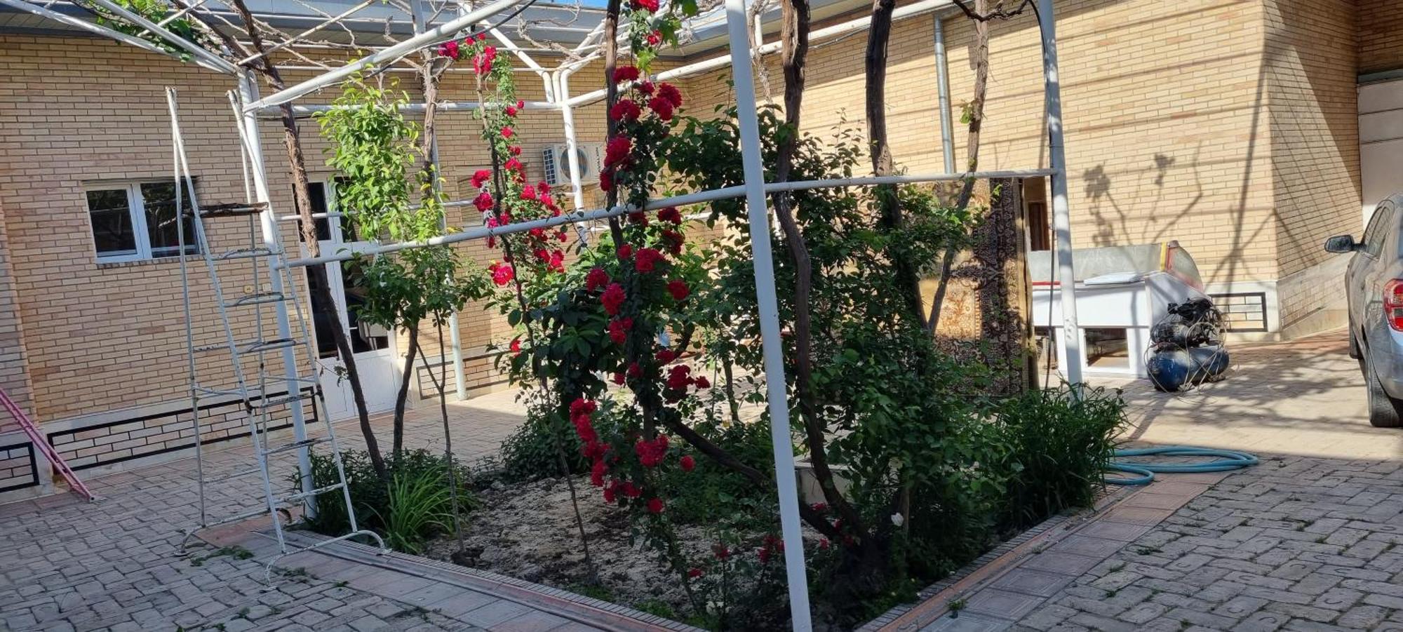 Guest House Muborak سمرقند المظهر الخارجي الصورة
